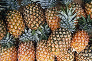 Де в природі росте ананас: корисні властивості ананасового масла, тканина з листя