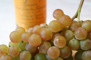 Виноград сорту Мускат: характеристика на прикладі білого та інших видів, їх опис і корисні властивості