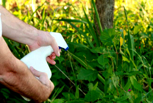 Бур'яни на городі: сучасні методи боротьби, вибір препаратів для усунення бур'яну