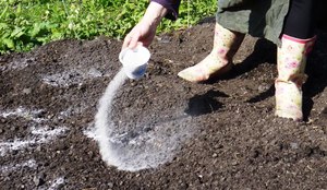 Як розкислити грунт на городі: користь і методи зниження кислотності навесні, види розкислювачів