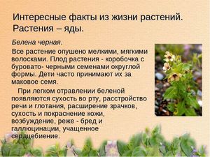 Культурные растения