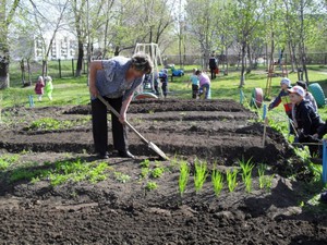 Как ухаживать за огородом весной