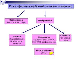 Какие есть удобрения