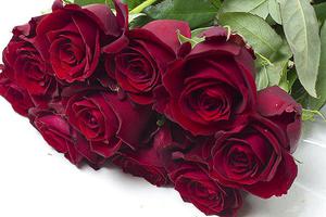 Троянди бордового і персикового кольору, що означає Кожен колір троянд