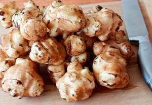 Лікувальні властивості земляної груші або топінамбура: рецепти приготування страв