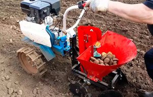 Способи посадки картоплі за допомогою мотоблока: яке можна використовувати навісне обладнання