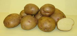 Ранние сорта картофеля: фото, описание, посадка